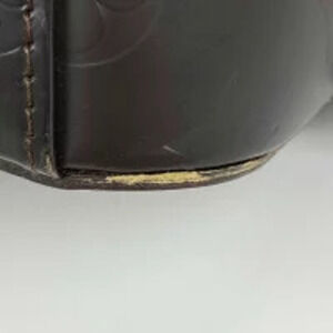 Louis Vuitton Handbag Leather Cafe Shoulder Charlie Monogram Camera Bag Glac